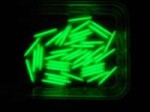 tritium.jpg
