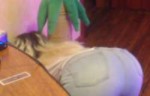 1531385168177.png