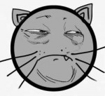yobacat.jpg