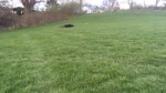 15260620006530.mp4