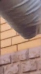 1536346483246.mp4