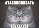 13634493511989.png