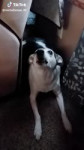 18923034.mp4