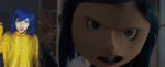 AskTheCat.webm