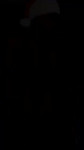 .webm