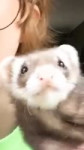 1550873181100.webm