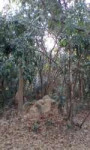 cameringo20190307165142.jpg