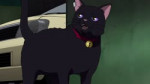1535819553094.webm