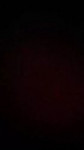 1463174350295.webm