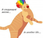 Nerecat.png