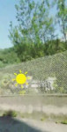 21067251368379764262560470278.mp4