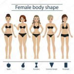 depositphotos108365360-stock-illustration-female-body-shape[...].jpg