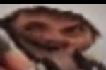    .png