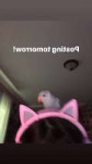 .png