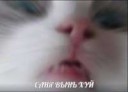 саня.jpeg
