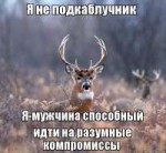 gm1g0i.jpg