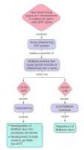 SRYGenePathway.jpg