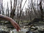 IMG20180406151911.jpg