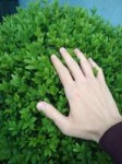 photo2018-05-1600-57-30.jpg