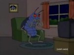 Good, Good.mp4