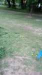 wild logan😮.mp4