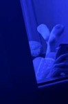 IMG0356.jpeg