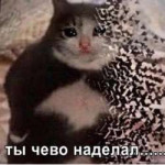 30258560085431526088a1920x.png