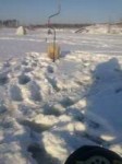 CAM06562.jpg