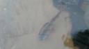 IMG20161115085931.jpg