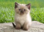 100325-yana.jpg