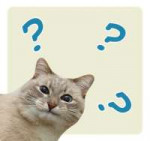 15705647349480.png