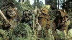 databankewok01169747db03a.jpeg