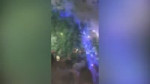 1551962323749.mp4