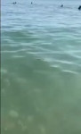 Калком в неве.mp4