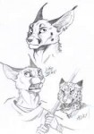 752124527dailysketchcatsketchesby0laffson.png