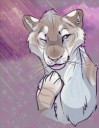 1482161108.owlfeyychheadshotwinner.png
