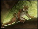 1411705237.kodalynxkodathelynx-by-nicnak044.jpg