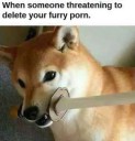 qTiIaUcDLsY.jpg