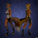 1502007814.zorrynforfaoxwalkcyclebikini.gif