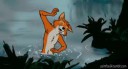 14409694587810.gif
