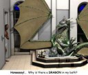 1232202011639DragonBath.jpg