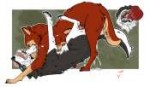 feral1518367098.jambalayathepitkylewolfhump.jpg