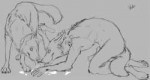 feral6g1463623548.hybernationpanel7lr.jpg