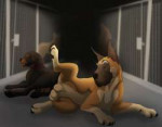 feral1628027219.unbreakable-warrior6472c05c-4fdd-4a52-af24-[...].jpg