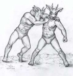 deer1524993532.andibifighting2018.jpg