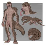 n1462443156.caraid-r1449020843.caraidpangolinadoptlowres1.jpg