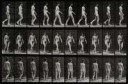 Awomanwalking.PhotogravureafterEadweardMuybridge,1887Wellco[...].jpg
