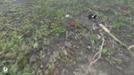 2018-04-05-22-49-38-YPDWO.webm