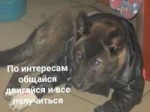 15078209364070.jpg