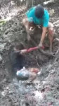 15407412766181.mp4